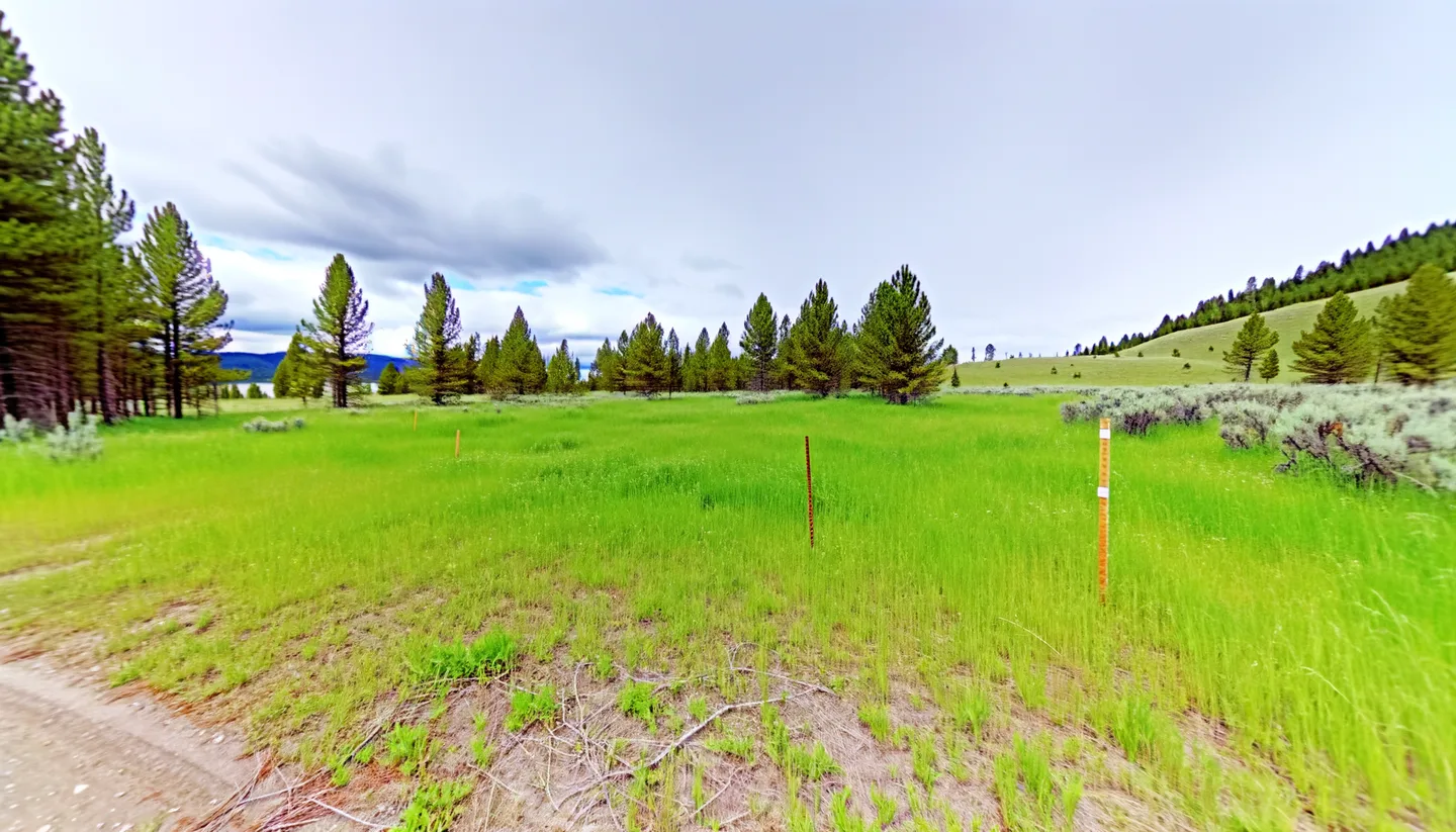 Vacant land parcel in Montana