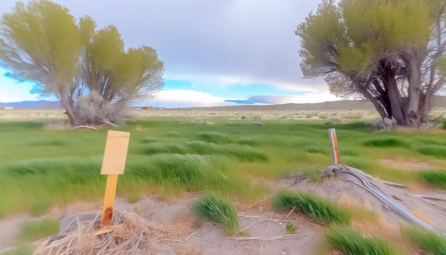 Vacant land parcel in Nevada